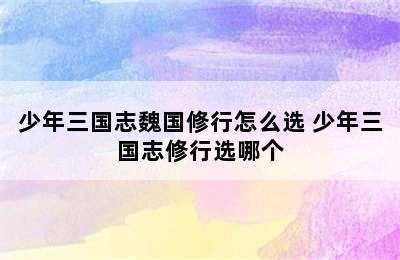 少年三国志魏国修行怎么选 少年三国志修行选哪个